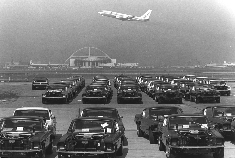 Rows of 1967 Shelby GT 500 cars 'as-delivered' from the Ford San Jose assembly plant (January 1967).